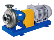 ANSI B 73.1 compliant Process pump  MAXP